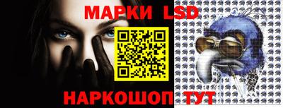 дмт Донской