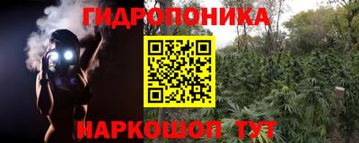 дмт Донской