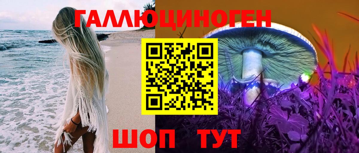 Буйнакск  Псилоцибиновые грибы MAGIC MUSHROOMS  Вход с VPN 